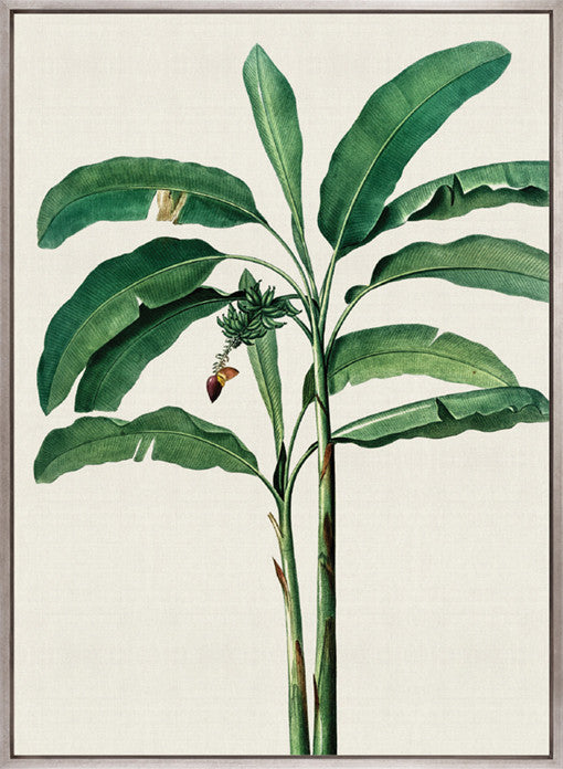 Lush Tropic III (Canvas)