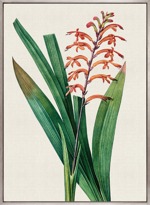 Lush Tropic V (Canvas)