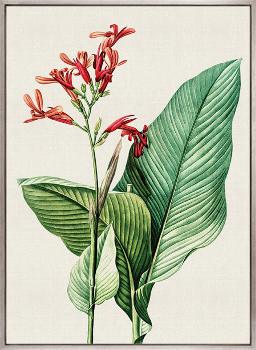 Lush Tropic VIII (Canvas)