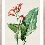 Lush Tropic VIII