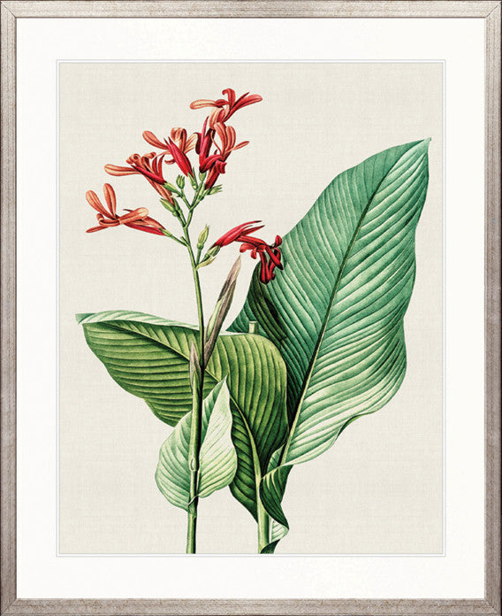 Lush Tropic VIII