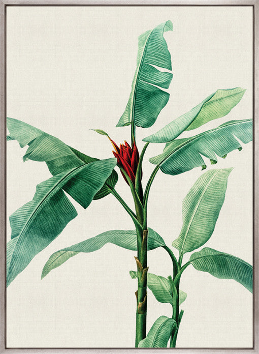 Lush Tropic IX (Canvas)