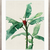 Lush Tropic IX