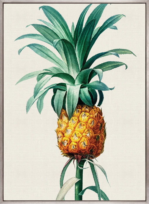 Lush Tropic XI (Canvas)