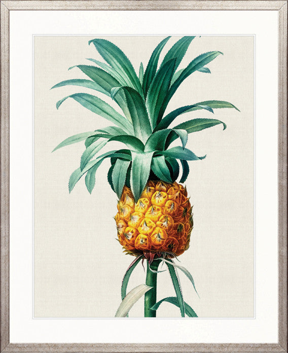 Lush Tropic XI