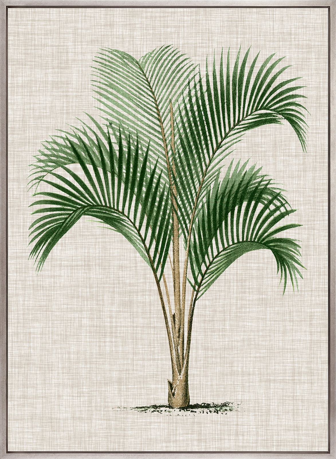 St Aman Palm I (Canvas)
