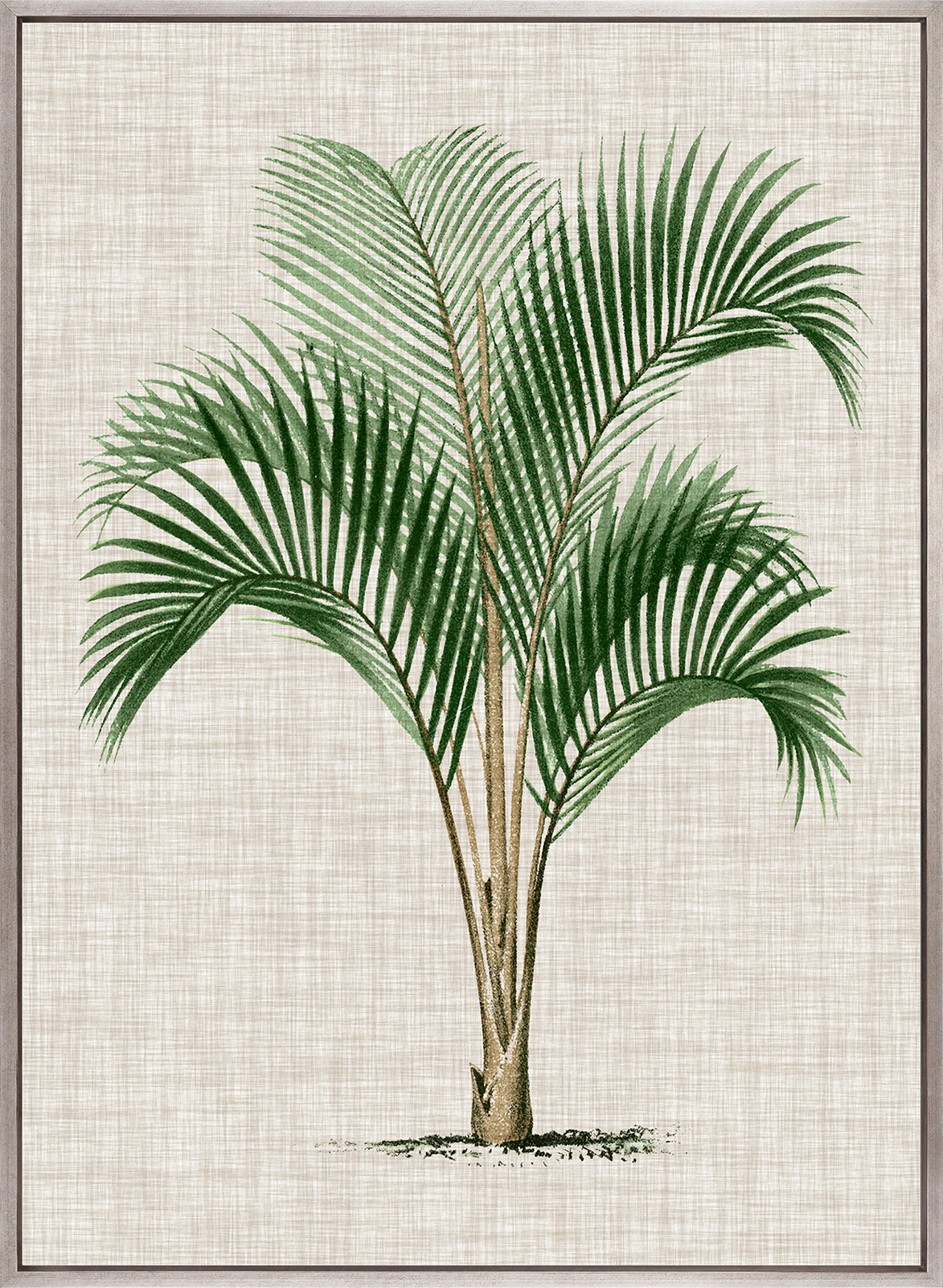 St Aman Palm I (Canvas)