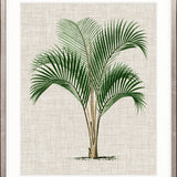 St Aman Palm I
