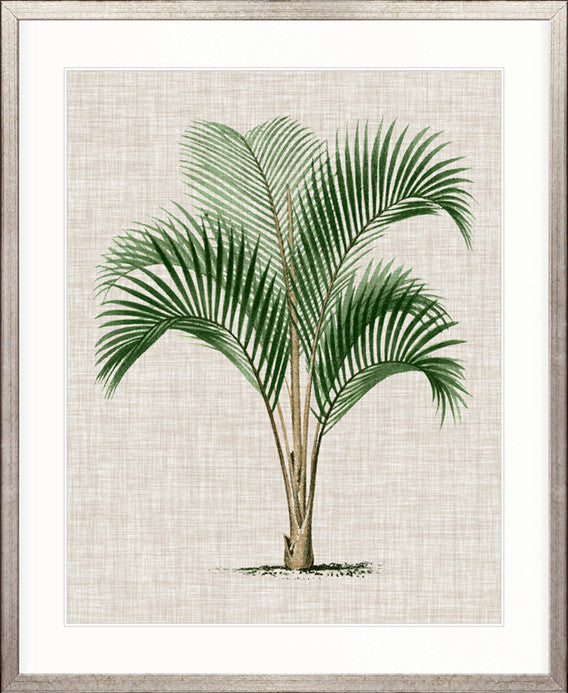 St Aman Palm I