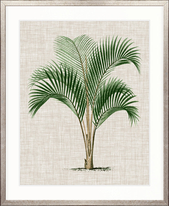 St Aman Palm I
