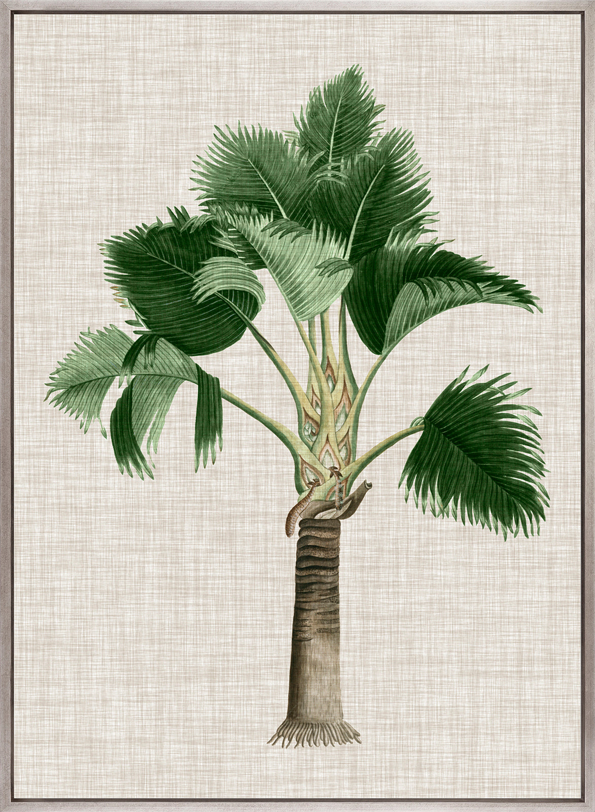 St Aman Palm II (Canvas)