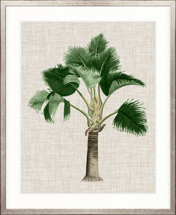 St Aman Palm II