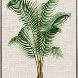 St Aman Palm III (Canvas)