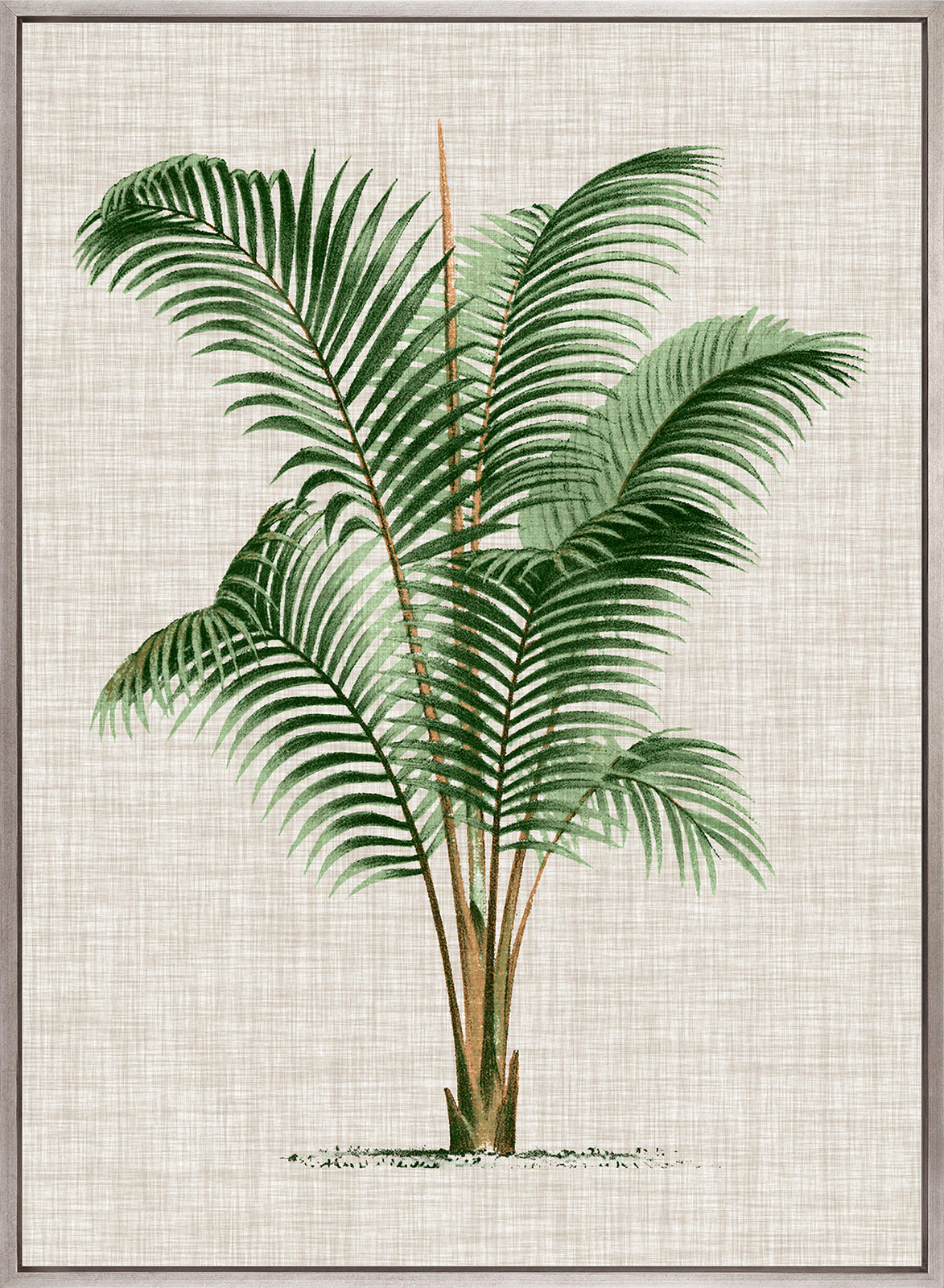 St Aman Palm III (Canvas)