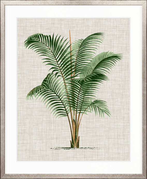 St Aman Palm III