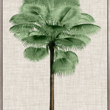St Aman Palm IV (Canvas) Large (903mm W x 1109mm H)