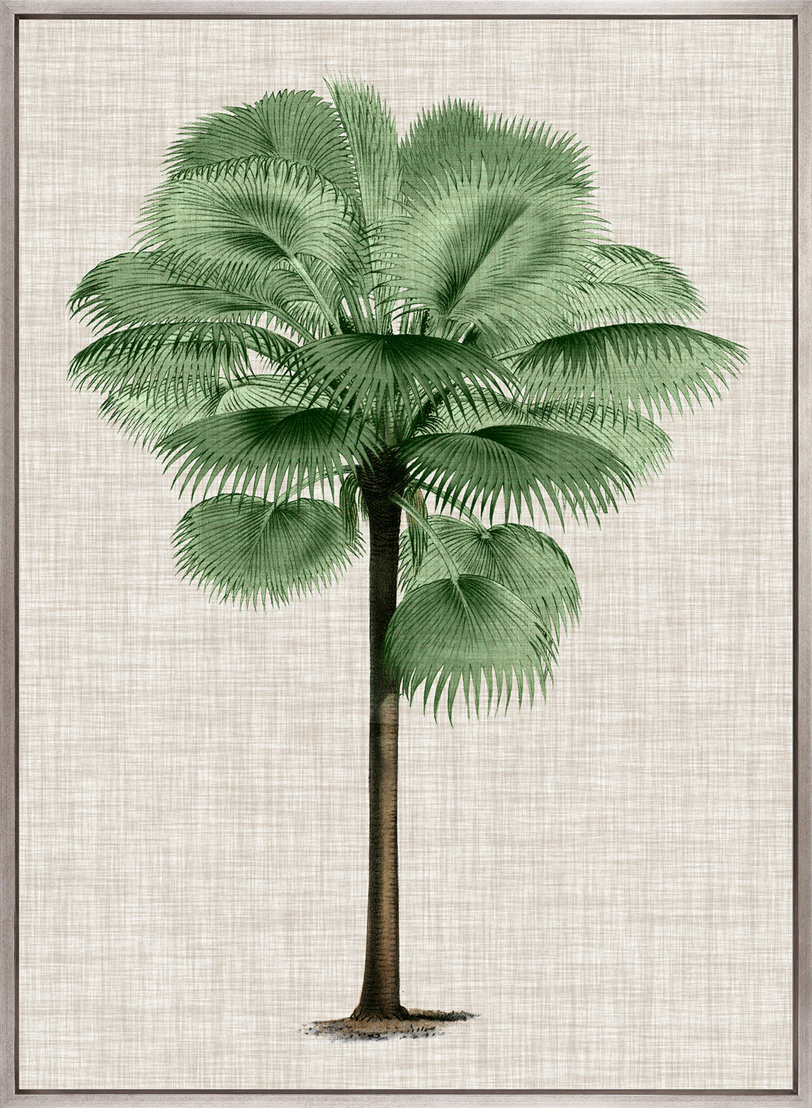 St Aman Palm IV (Canvas)
