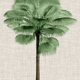St Aman Palm IV (Canvas) Large (903mm W x 1109mm H)