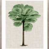 St Aman Palm IV