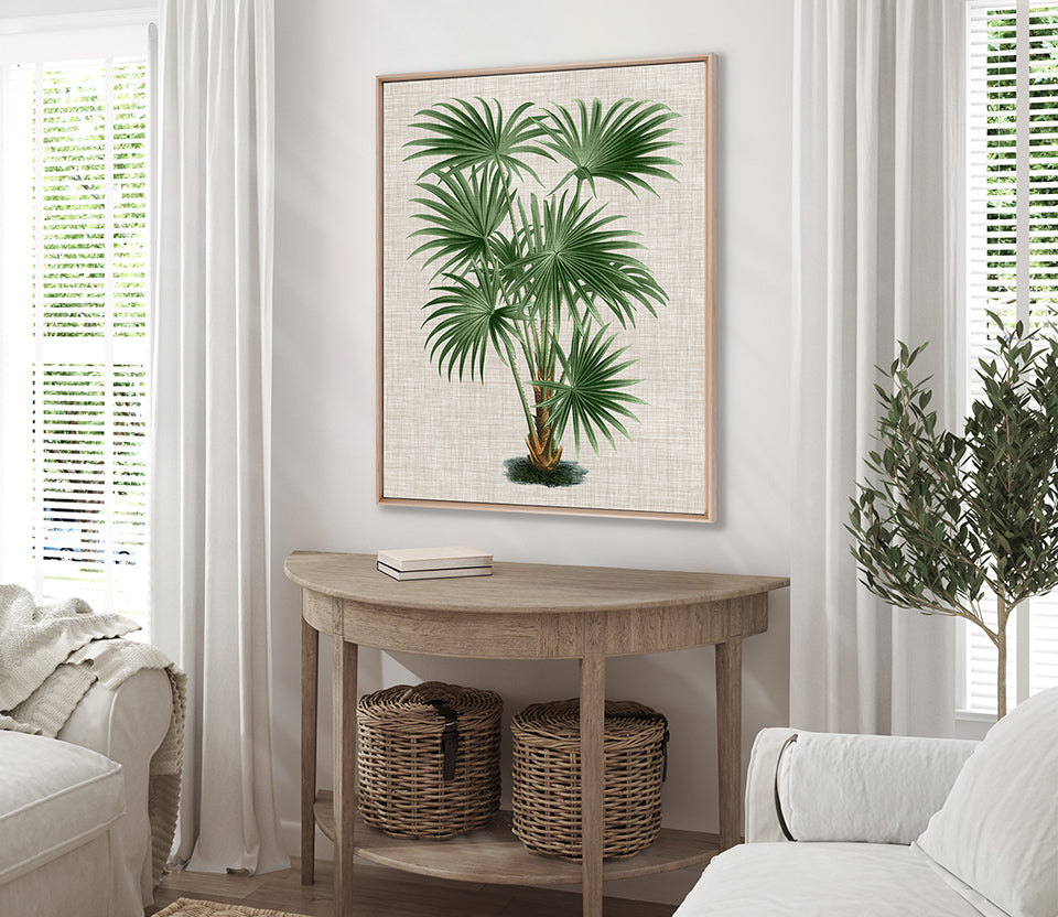 St Aman Palm V (Canvas)