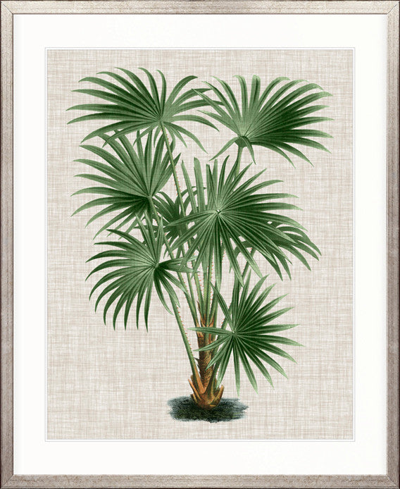 St Aman Palm V