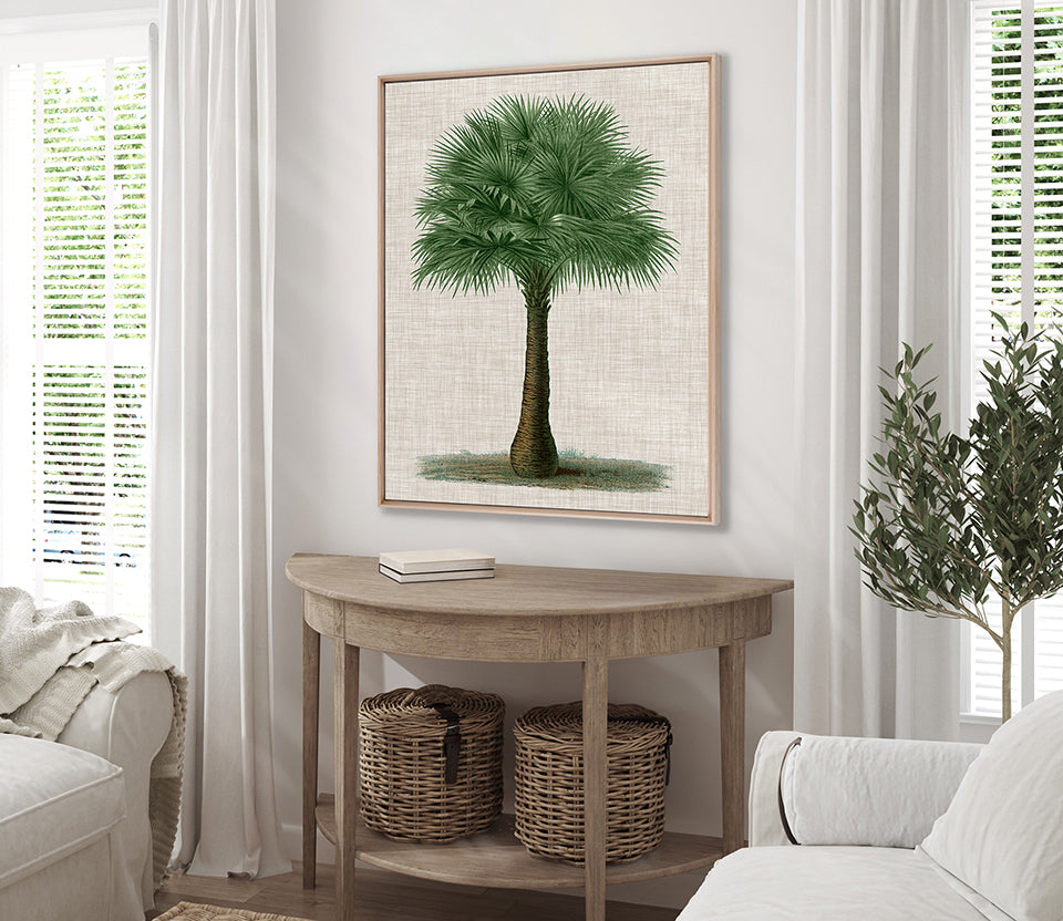 St Aman Palm VI (Canvas)