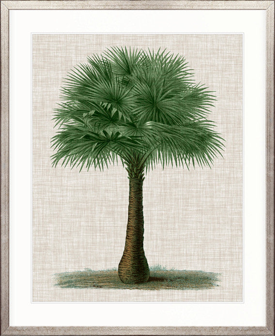 St Aman Palm VI