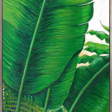 Evergreen Foliage I (Canvas)