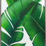 Evergreen Foliage III (Canvas)
