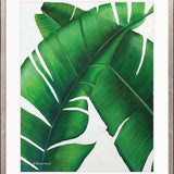 Evergreen Foliage III