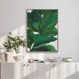 Evergreen Foliage IV (Canvas)
