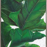 Evergreen Foliage IV (Canvas)