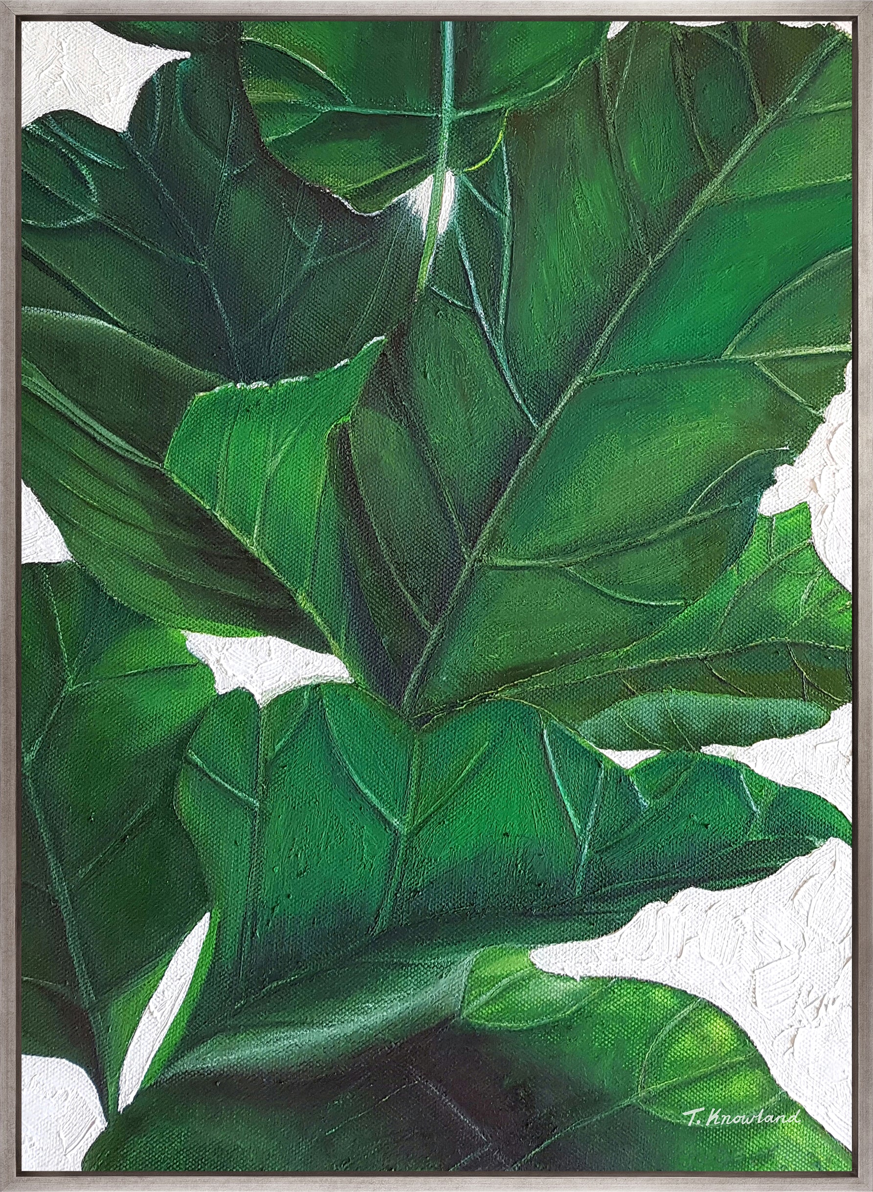 Evergreen Foliage IV (Canvas)