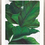Evergreen Foliage IV
