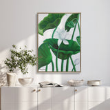 Evergreen Foliage V (Canvas)