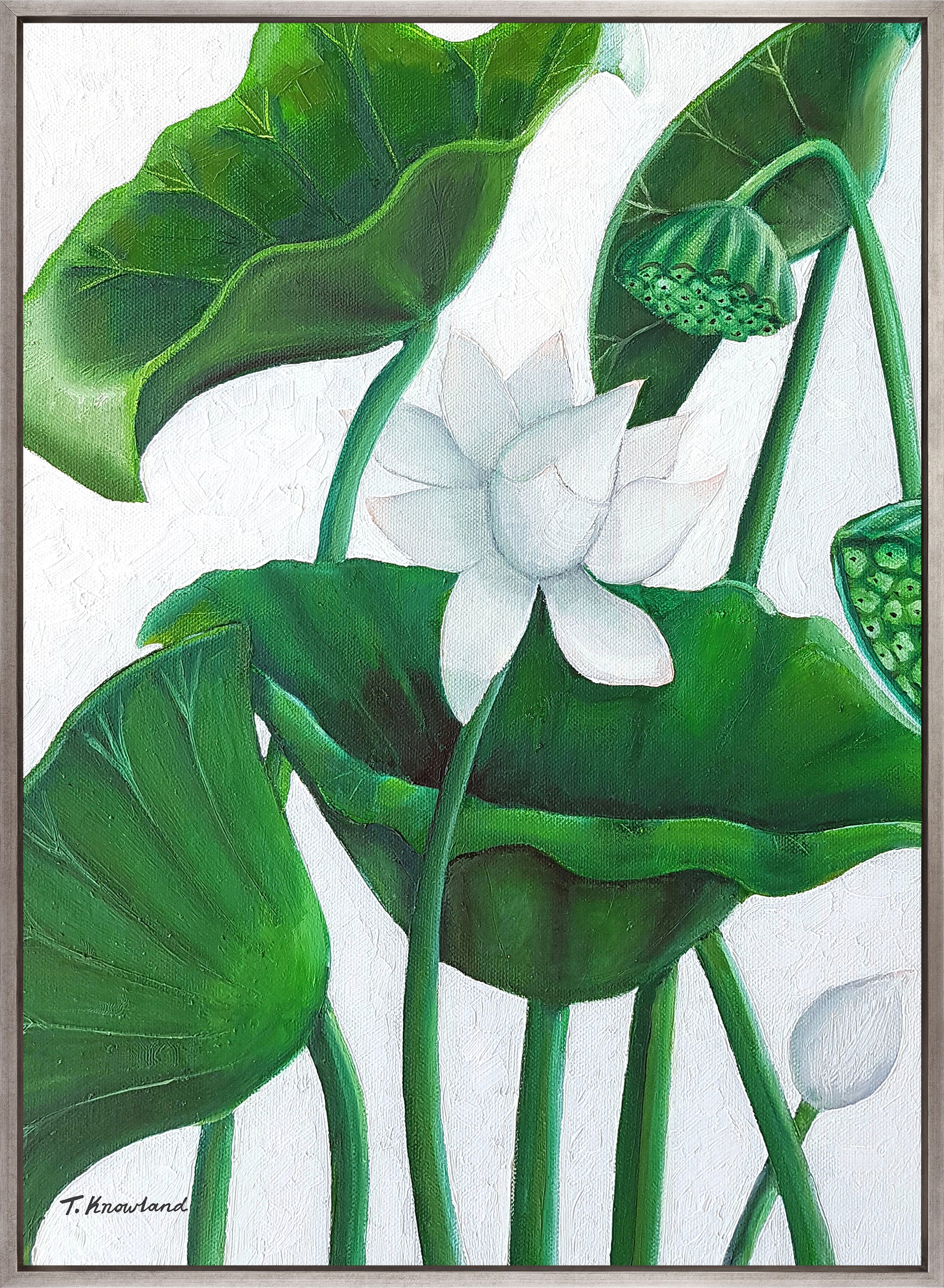 Evergreen Foliage V (Canvas)