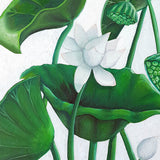 Evergreen Foliage V (Canvas)