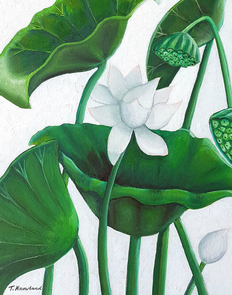 Evergreen Foliage V (Canvas)
