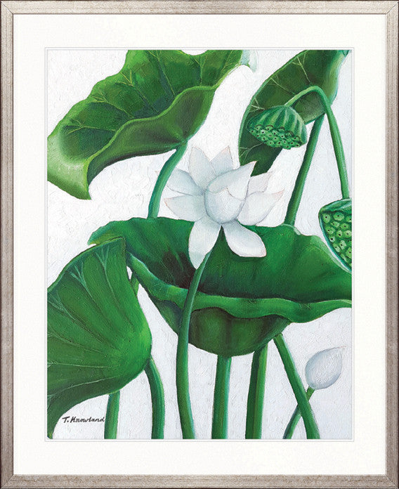 Evergreen Foliage V