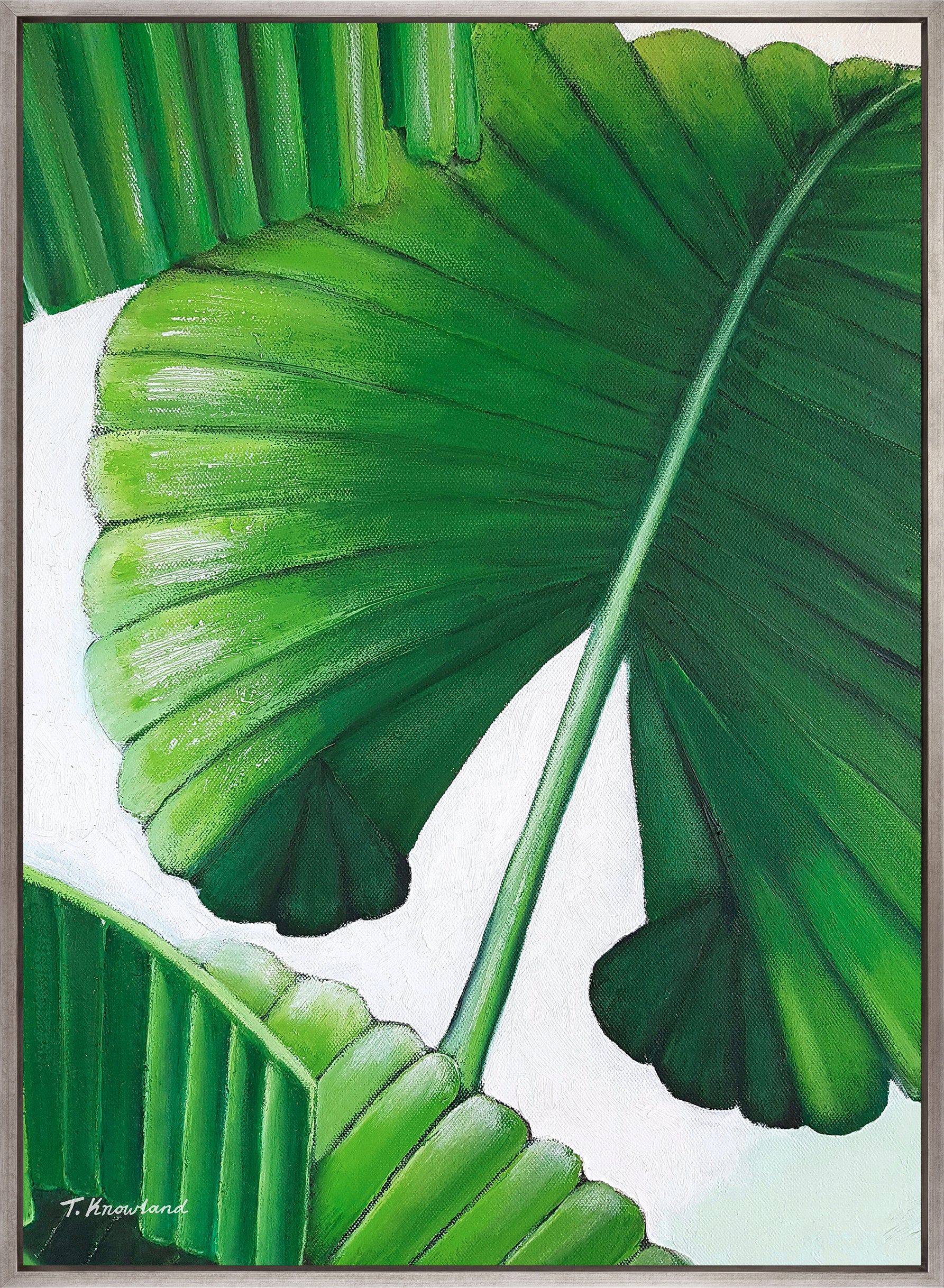 Evergreen Foliage VI (Canvas)