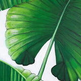 Evergreen Foliage VI (Canvas)