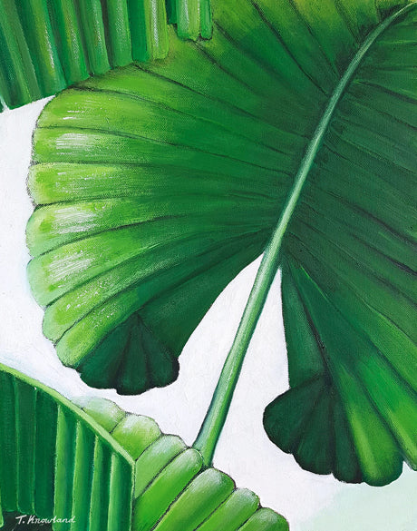 Evergreen Foliage VI (Canvas)