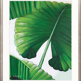 Evergreen Foliage VI