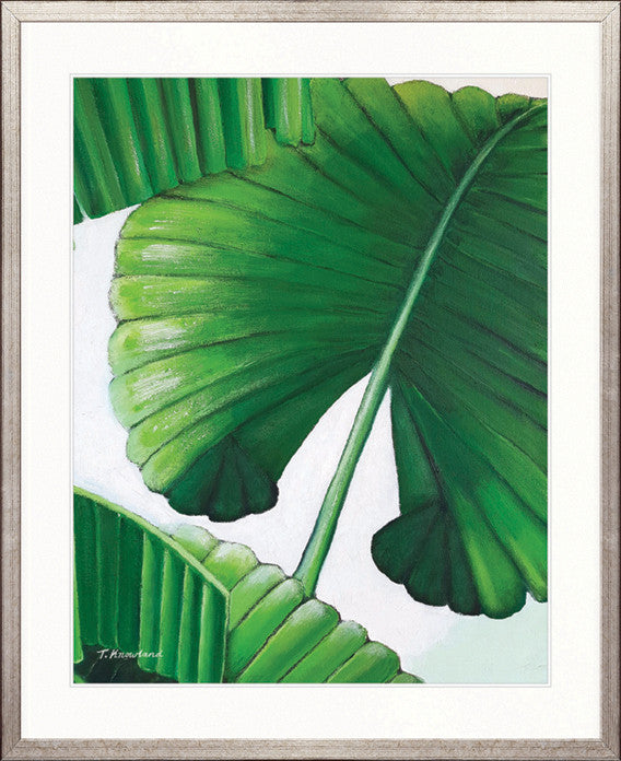 Evergreen Foliage VI
