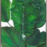Evergreen Foliage VIII (Canvas)