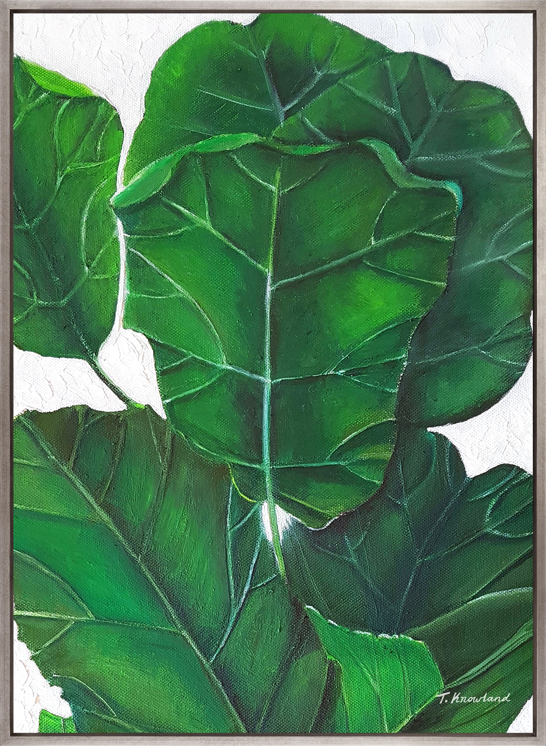 Evergreen Foliage VIII (Canvas)