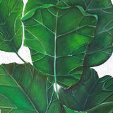 Evergreen Foliage VIII (Canvas)