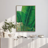 Evergreen Foliage IX (Canvas)
