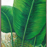 Evergreen Foliage IX (Canvas)