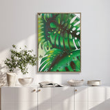 Evergreen Foliage XI (Canvas)